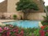 Parkside Cedar Springs - Pool - Photo 6 of 11