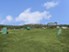Overlook at Stone Oak Park - Pet Park - Photo 7 of 21
