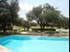 Woods of Brookhollow - Pool - Photo 4 of 8