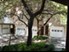 San Gabriel - Exterior 4 - Photo 4 of 8