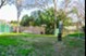 Vue - Dog Park - Photo 6 of 18