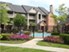 Spring Park - Pool - Photo 4 of 29