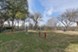 Trinity Urban Bluff - Dog Park - Photo 4 of 27