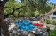 Woods of Elm Creek - Pool - Photo 8 of 18