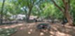 Reserve at Stonebridge Ranch - Picnic Area - Photo 8 of 21