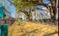 Verlaine on the Parkway - Dog Park - Photo 7 of 20