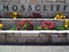 Mosscliff - Entrance - Photo 2 of 10