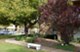 Chisholm - Courtyard - Photo 3 of 9