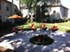 Wilshire Park - Courtyard - Photo 3 of 7