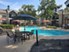 Reston - Pool - Photo 5 of 20