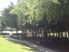 Nolen Grand - Picnic Area - Photo 5 of 19