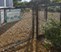 Cabochon at River Oaks - Dog Park - Photo 8 of 25