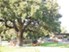 Club at Stonegate - Picnic Area - Photo 7 of 28
