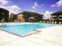 Crenshaw Grand - Pool - Photo 3 of 21