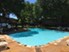 Gold Talon - Pool - Photo 4 of 17