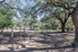Cortland at Fredericksburg - Picnic Area - Photo 8 of 28