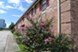 Belmont Place - Exterior - Photo 3 of 15