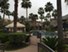 San Montego - Pool - Photo 3 of 23