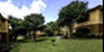 Villas at Sonterra - Courtyard - Photo 2 of 17