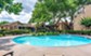 Park at Live Oak - Pool - Photo 5 of 14