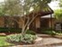 Cedar Bend - Arlington, TX - Photo 1 of 5