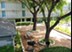 Abbey Road - Picnic Area - Photo 3 of 30