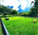 Milan - Dog Park - Photo 6 of 22