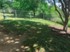 Ridge at Southcross - Dog Park - Photo 4 of 17
