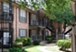 Forest - Exterior - Photo 6 of 14