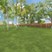 Resia Dallas West - Dog Park - Photo 7 of 28