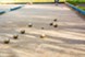 Abstract at Design District - Bocce Ball - Photo 7 of 21
