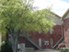 Bethany - Exterior 2 - Photo 4 of 5