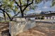 Regal Parc I & II - BBQ - Photo 8 of 38