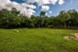 Maxwell Townhomes - Dog Park - Photo 5 of 16