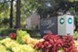 Excelsior on the Park - Entrance - Photo 2 of 6