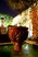 Greenhouse Villa - Exterior - Photo 6 of 25