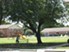 Virginia Oaks - Playground - Photo 4 of 4