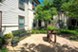 Discovery Village at Southlake - Courtyard - Photo 5 of 19