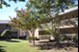 Fox Trails - Plano, TX - Photo 1 of 13