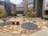 Chesapeake - Courtyard - Photo 8 of 39