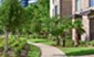 Arlo Westchase - Courtyard - Photo 4 of 17