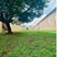 Estrella at Seminary - Courtyard - Photo 4 of 12