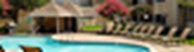 Oaks of Arlington - Pool - Photo 3 of 8