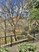 Colonnade at Willow Bend - Courtyard - Photo 2 of 26