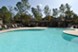 333 Holly - Pool - Photo 7 of 16