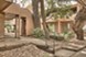 Alamo Heights Treehouse - Exterior - Photo 3 of 10