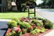 Redbird Village - Entrance - Photo 3 of 17