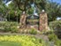Westshore Colony - Entrance - Photo 2 of 25