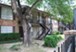 Forest - Exterior - Photo 5 of 14