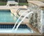 Mira Vista - Pool - Photo 2 of 6